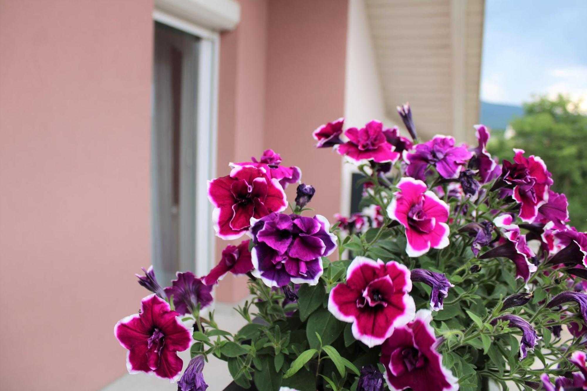 Apartman Swans Otocac Exterior photo
